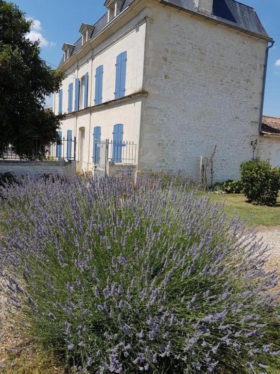 Le Domaine De Bellevue Bed and Breakfast Tanzac Buitenkant foto